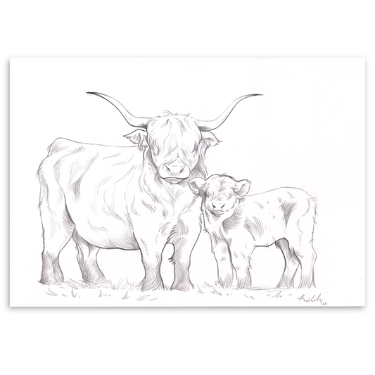 Highland Cow and Calf (A4)