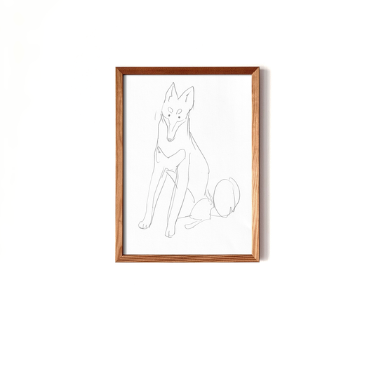 Sitting Klee Kai