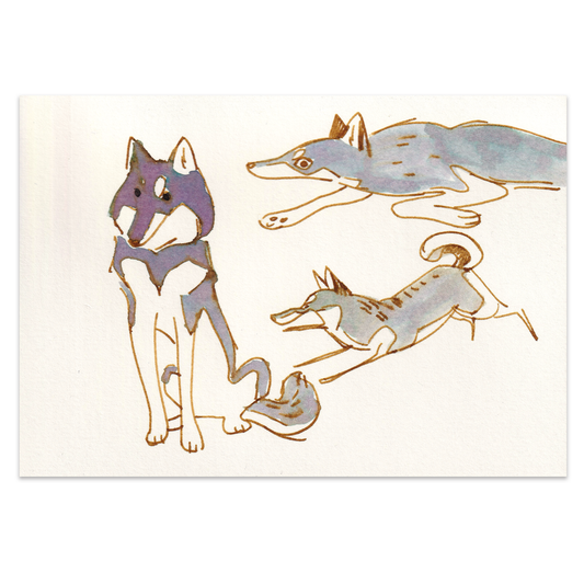 'Klee Kai Studies' - Mini Original