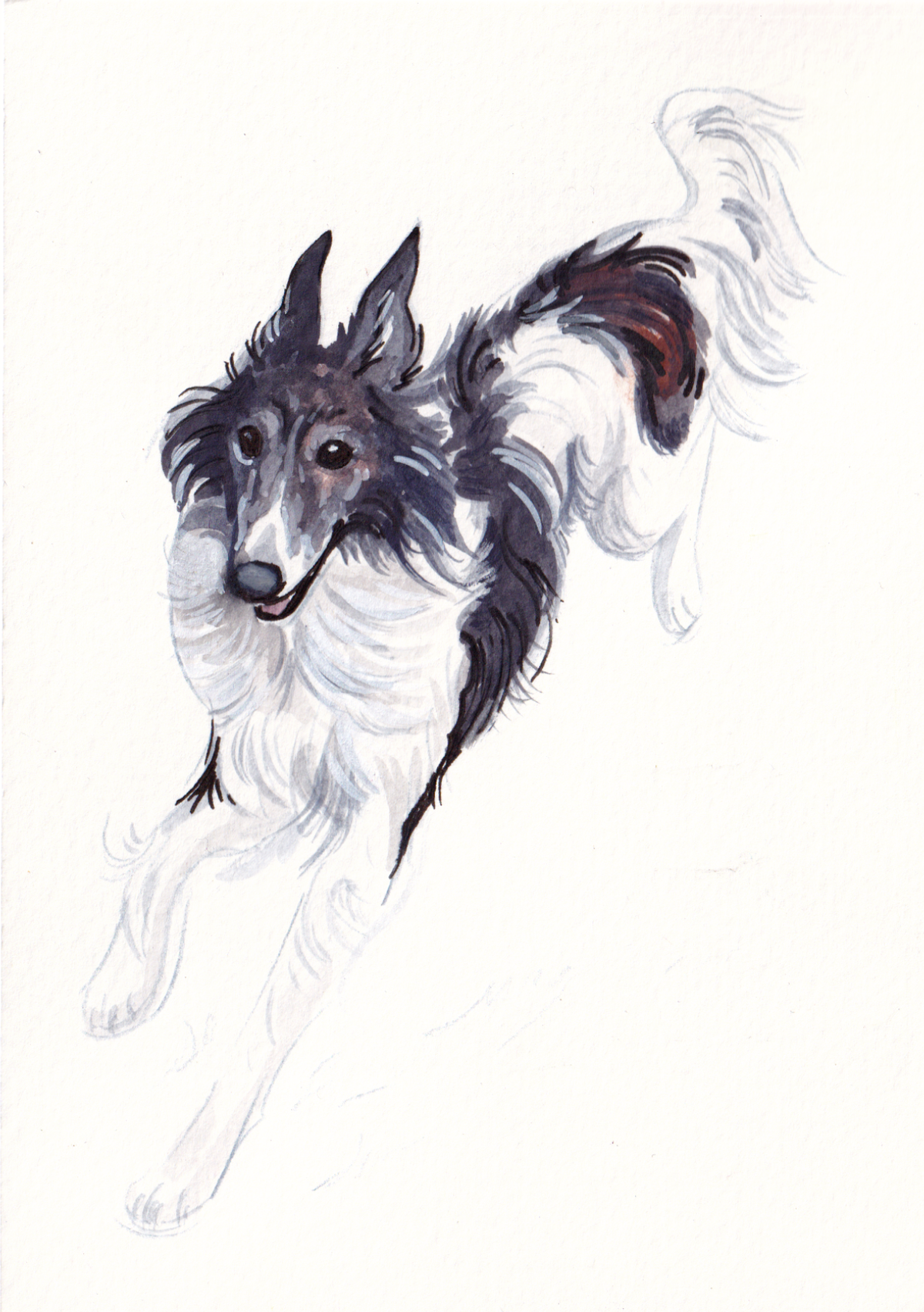Custom Pet Portrait - Ink