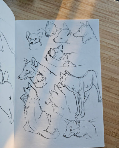 'Kingdoms' Animal Art Book (Signed)