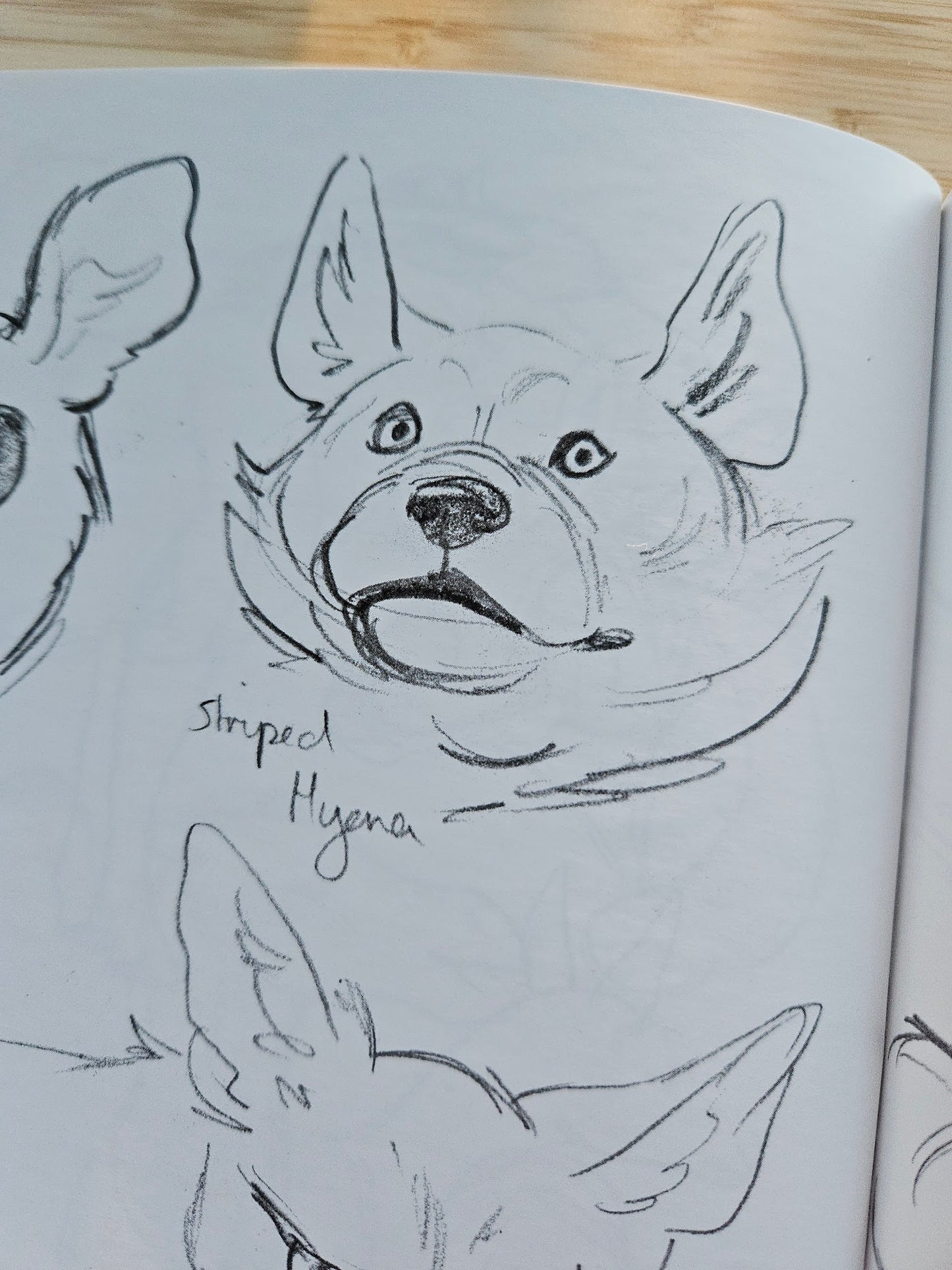 'Kingdoms' Animal Art Book (Signed)