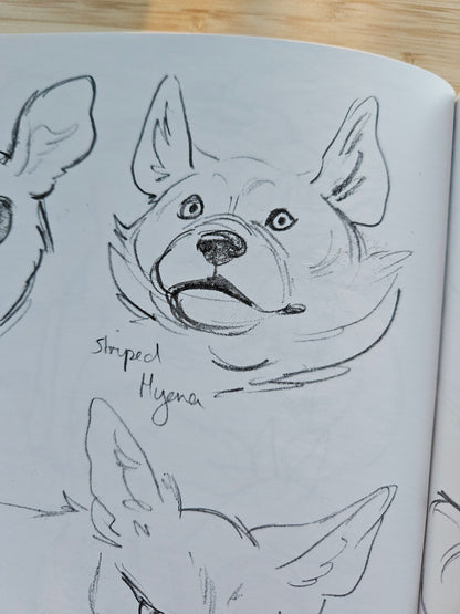 'Kingdoms' Animal Art Book (Signed)