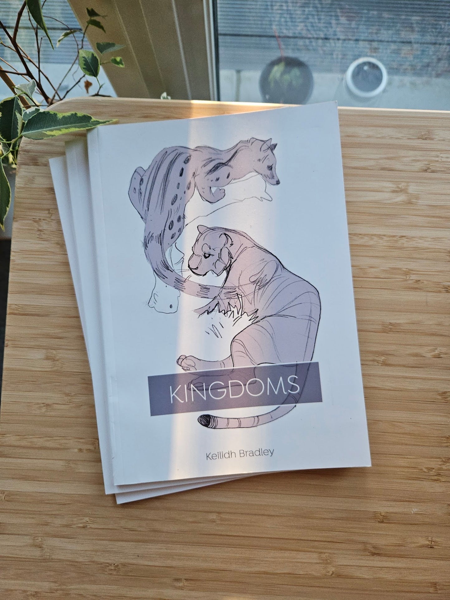 Book titled 'Kingdoms' with illustrations of animals on a wooden surface